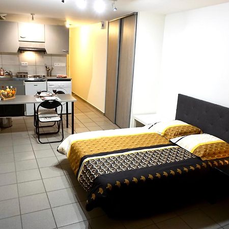 Charmant studio centre ville Le Puy-en-Velay Esterno foto